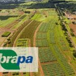 Embrapa prorroga inscrições para concurso com mais de mil vagas e salários de até R$ 12,8 mil