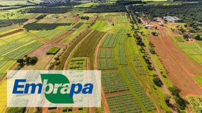 Embrapa prorroga inscrições para concurso com mais de mil vagas e salários de até R$ 12,8 mil