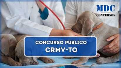 A imagem mostra um veterinário examinando um filhote de cachorro de pelagem cinza com um estetoscópio. O filhote está sendo segurado por uma pessoa vestindo uma blusa cinza clara. Ao lado, sobre a mesa coberta por um pano azul, há outro filhote da mesma cor, aparentemente descansando. No primeiro plano, alguns instrumentos médicos estão visíveis, como seringas e tubos. O ambiente tem aparência clínica e organizada, sugerindo uma consulta veterinária / Concurso Público CRMV-TO Uma oportunidade para Médicos Veterinários, Zootecnistas e Mais!