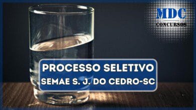 Processos Seletivos 5 Processo Seletivo SEMAE São José do CedroSC oferece remuneração de R$ 3 mil