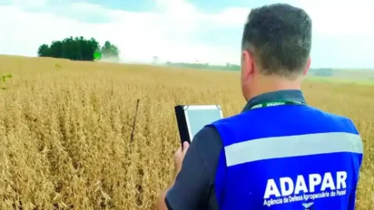 Técnico da ADAPAR em campo agrícola segurando tablet para monitoramento em plantação. Foto: Divulgação/ADAPAR