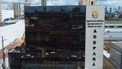 Processos Seletivos 3 Prédio da Agência de Defesa Agropecuária do Estado do Pará com fachada espelhada e nome ADEPARÁ em destaque. Foto: Divulgação/ADEPARÁ