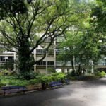 Vista do pátio arborizado do CEFET/RJ, com bancos azuis, jardins e prédio da instituição ao fundo.