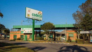 A imagem mostra a entrada principal da sede da Codeca (Companhia de Desenvolvimento de Caxias do Sul), localizada no Rio Grande do Sul. O local possui estruturas de tijolos aparentes com detalhes verdes, e cobertura metálica verde. Um grande letreiro elevado com o logotipo da empresa e o slogan “A serviço da Comunidade” está em destaque acima da entrada. Há placas indicando ações como a coleta seletiva, além de vegetação, árvores e sinalização de trânsito pintada no asfalto, compondo um ambiente organizado e bem cuidado. Ao fundo, é possível ver galpões industriais e estruturas utilizadas nas atividades da companhia.