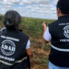 Fiscais da ADAB em campo inspecionando lavoura, representando as carreiras do concurso ADAB BA com vagas para fiscal e técnico agropecuário