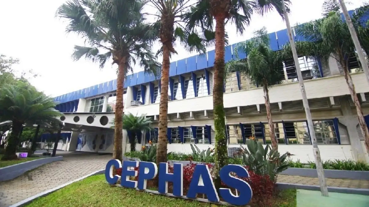 Cursos técnicos gratuitos no CEPHAS com fachada da instituição em São José dos Campos