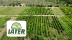 Vista aérea de área rural com lavouras organizadas em fileiras verdes, estrada central e logomarca do IATER sobreposta, representando assistência técnica e extensão rural em Roraima.