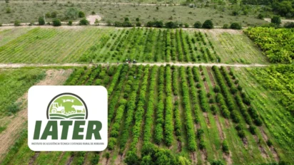 Vista aérea de área rural com lavouras organizadas em fileiras verdes, estrada central e logomarca do IATER sobreposta, representando assistência técnica e extensão rural em Roraima.