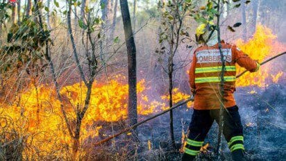 Um bombeiro com uniforme laranja e capacete amarelo combate um incêndio florestal em uma área de vegetação seca. Ele segura uma ferramenta comprida enquanto as chamas se alastram intensamente pelo chão e entre as árvores. O cenário é dominado por fumaça e fogo, com arbustos queimando e o solo coberto de cinzas. A ação ocorre em plena luz do dia, evidenciando a gravidade do incêndio. (IBRAM DF)