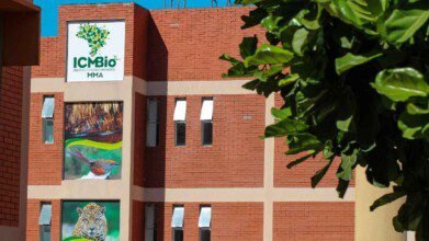 Fachada de prédio do ICMBio com logo do instituto, imagens de animais e vegetação, sob céu azul e parcialmente encoberta por folhas verdes.