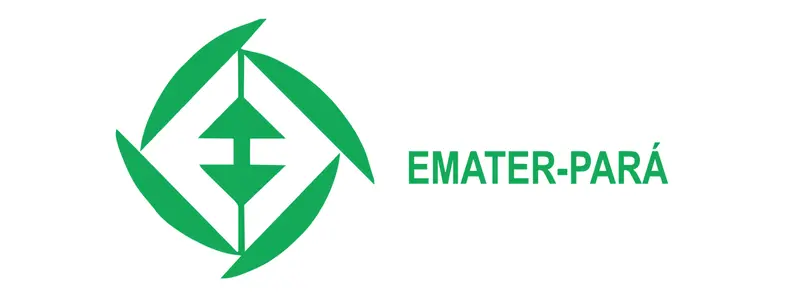 Logotipo da Emater-Pará com símbolo geométrico verde formado por setas estilizadas ao lado do texto EMATER-PARÁ em verde