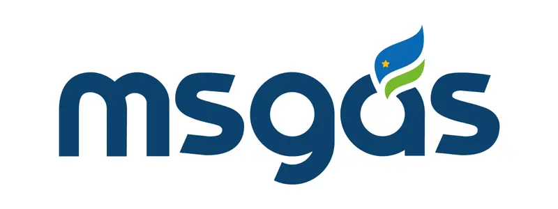 MSGÁS lança edital de concurso c/ salários de até R$ 10,7 mil 1 Logo da MSGÁS com tipografia azul e símbolo em forma de chama estilizada nas cores azul, verde e amarela.