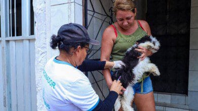 Processos Seletivos 8 Profissional de saúde aplica vacina em cachorro enquanto a tutora segura o animal em frente a uma residência. Foto: Divulgação/Prefeitura de Manaus-AM