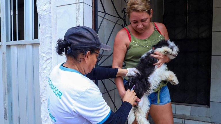 Profissional de saúde aplica vacina em cachorro enquanto a tutora segura o animal em frente a uma residência. Foto: Divulgação/Prefeitura de Manaus-AM
