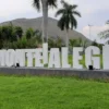 Letreiro turístico “Eu amo Monte Alegre” em área verde, com palmeiras ao redor e morro ao fundo, representando a cidade de Monte Alegre de Goiás. Foto: Divulgação/Prefeitura de Monte Alegre de Goiás