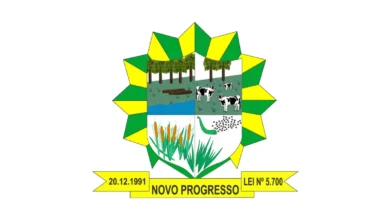 Brasão do município de Novo Progresso, Pará, com elementos que representam floresta, gado, rio e vegetação sobre fundo em formato de estrela verde e amarela