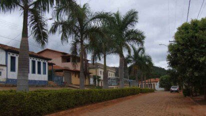 Rua arborizada com palmeiras e casas em estilo simples na cidade de Olhos D’Água MG, com céu nublado e veículos estacionados.