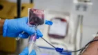 Processo seletivo Fhemeron 2026 — profissional de saúde realizando procedimento de hemoterapia em laboratório