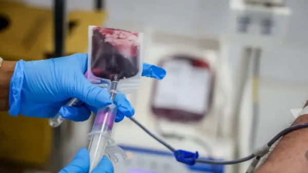 Processo Seletivo Fhemeron abre 87 vagas com salários de até R$ 14.762,61 5 Processo seletivo Fhemeron 2026 — profissional de saúde realizando procedimento de hemoterapia em laboratório