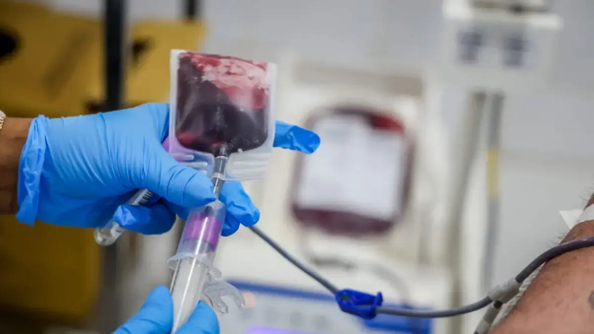 Processo seletivo Fhemeron 2026 — profissional de saúde realizando procedimento de hemoterapia em laboratório