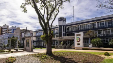 Processos Seletivos 9 Prédio da prefeitura no processo seletivo Toledo PR com árvore em praça