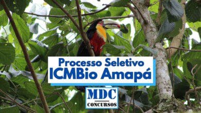 Processos Seletivos 5 Imagem mostra um tucano de bico vermelho e amarelo pousado em um galho entre folhas verdes em uma área de floresta tropical no Amapá ao centro da imagem há uma faixa branca com os dizeres Processo Seletivo ICMBio Amapá em letras azuis com destaque para a palavra ICMBio abaixo está o logotipo do site MDC Concursos em azul e preto