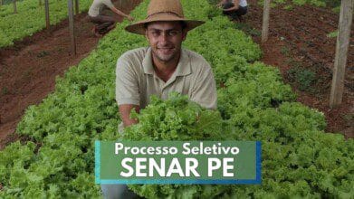 Processos Seletivos 8 Homem com chapéu de palha e camisa bege sorri enquanto segura uma alface fresca em uma plantação organizada de hortaliças, com solo avermelhado. Ao fundo, outras pessoas trabalham entre as fileiras de pés de alface. A imagem ilustra o ambiente rural e o trabalho agrícola, com destaque para o texto “Processo Seletivo SENAR PE” sobreposto na parte inferior da foto.