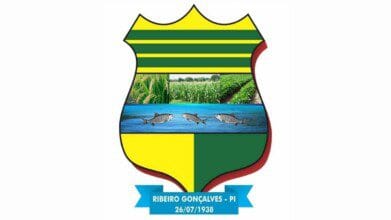Brasão do município de Ribeiro Gonçalves, no estado do Piauí, Brasil. A imagem apresenta um escudo dividido em seções coloridas com predominância de verde e amarelo. No centro há uma faixa com imagens de plantações agrícolas, simbolizando a produção rural, e uma faixa azul com três peixes, representando a fauna aquática local. Abaixo, uma fita azul traz o nome “RIBEIRO GONÇALVES – PI” e a data “26/07/1938”, referente à fundação do município.