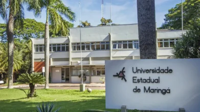 Placa branca em primeiro plano com o logotipo e o nome Universidade Estadual de Maringá (UEM) em destaque, posicionada em frente a um prédio acadêmico cercado por gramado e palmeiras sob a luz do sol.