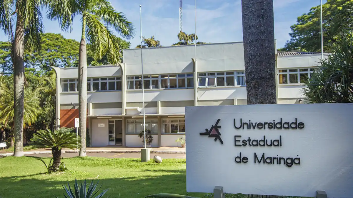 Placa branca em primeiro plano com o logotipo e o nome Universidade Estadual de Maringá (UEM) em destaque, posicionada em frente a um prédio acadêmico cercado por gramado e palmeiras sob a luz do sol.